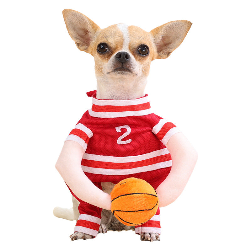 Halloween Pet Costume